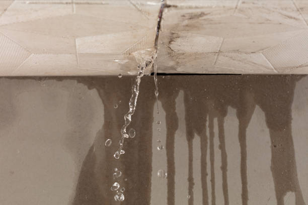 Professional Water Damage Repair technician working in Penwell, TX